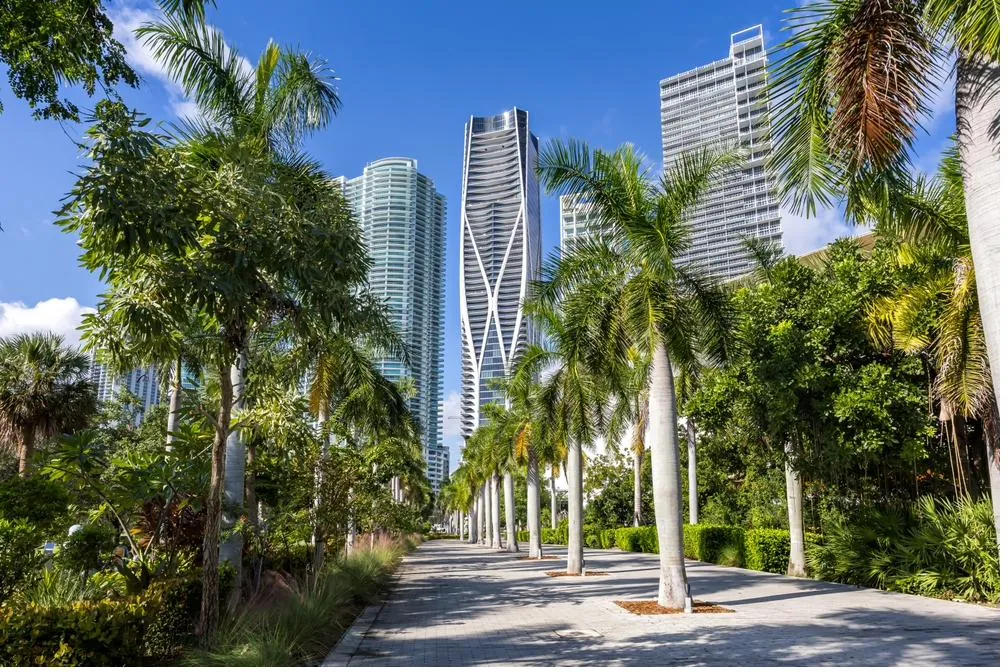 Palm-lined walkway with Miami towers in the background
